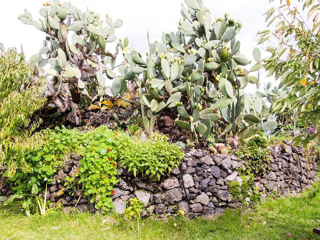 Casa Macchia Βίλα Giarre Εξωτερικό φωτογραφία