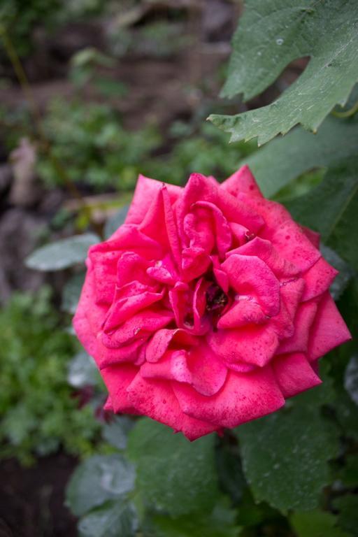 Casa Macchia Βίλα Giarre Εξωτερικό φωτογραφία