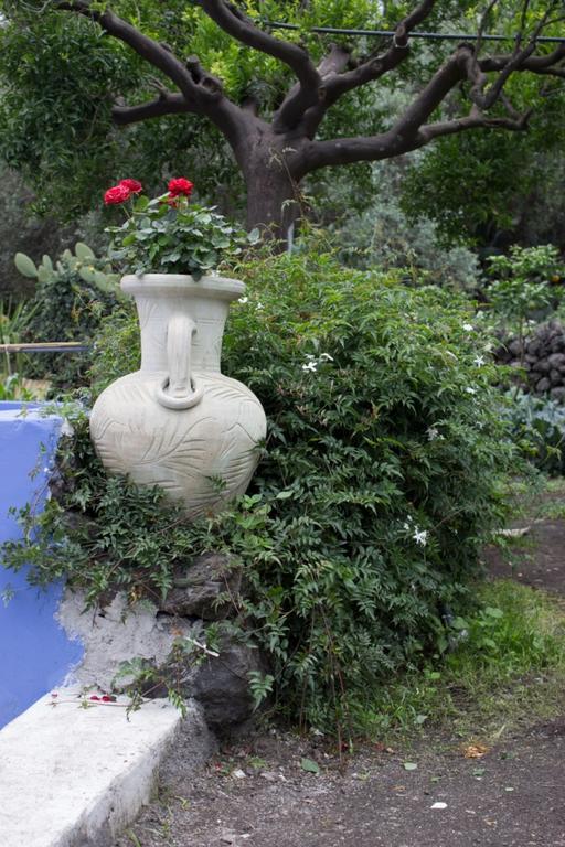 Casa Macchia Βίλα Giarre Εξωτερικό φωτογραφία