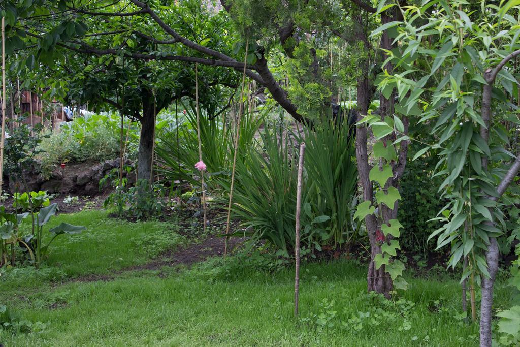 Casa Macchia Βίλα Giarre Εξωτερικό φωτογραφία